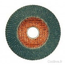 DISQUE LAMELLES