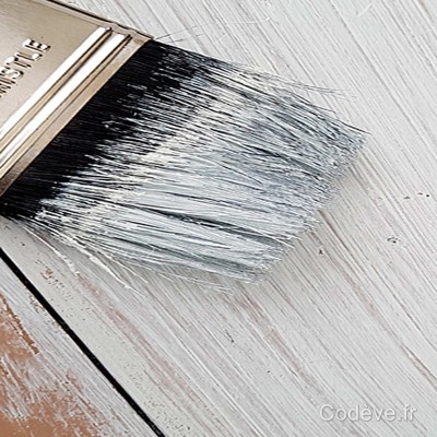 AGENT MATANT PEINTURE