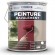 PEINTURE RAVALEMENT 5 L