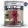 PEINTURE RAVALEMENT 4 x 5 L