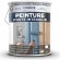 PEINTURE PORTE INTERIEUR 5 L