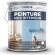 PEINTURE MUR INTERIEUR 5 L
