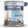 PEINTURE MUR INTERIEUR 4 x 5 L