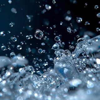 Coalescence et coalescents