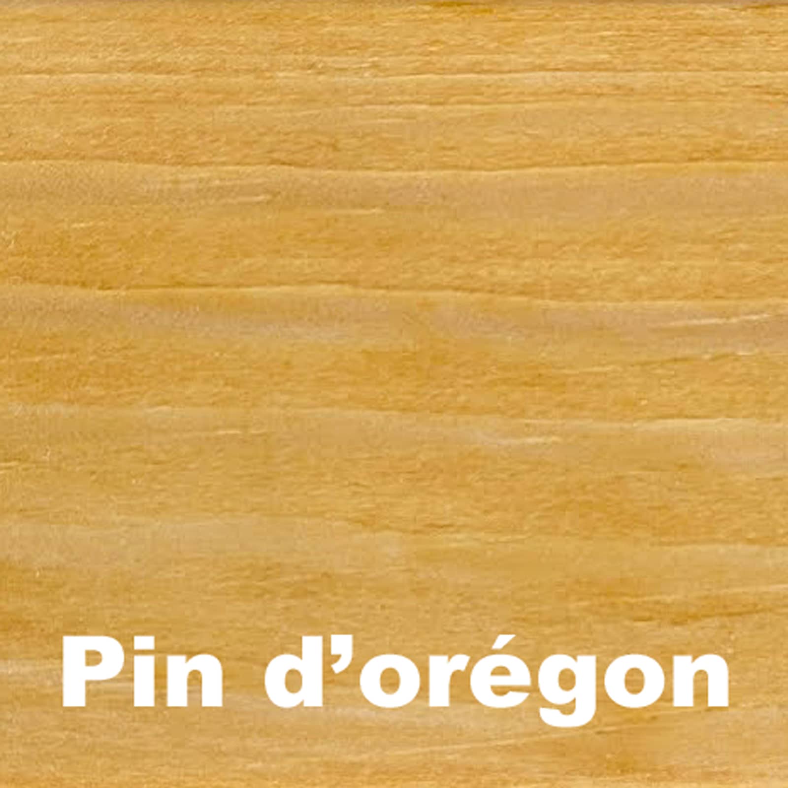 Pin orégon