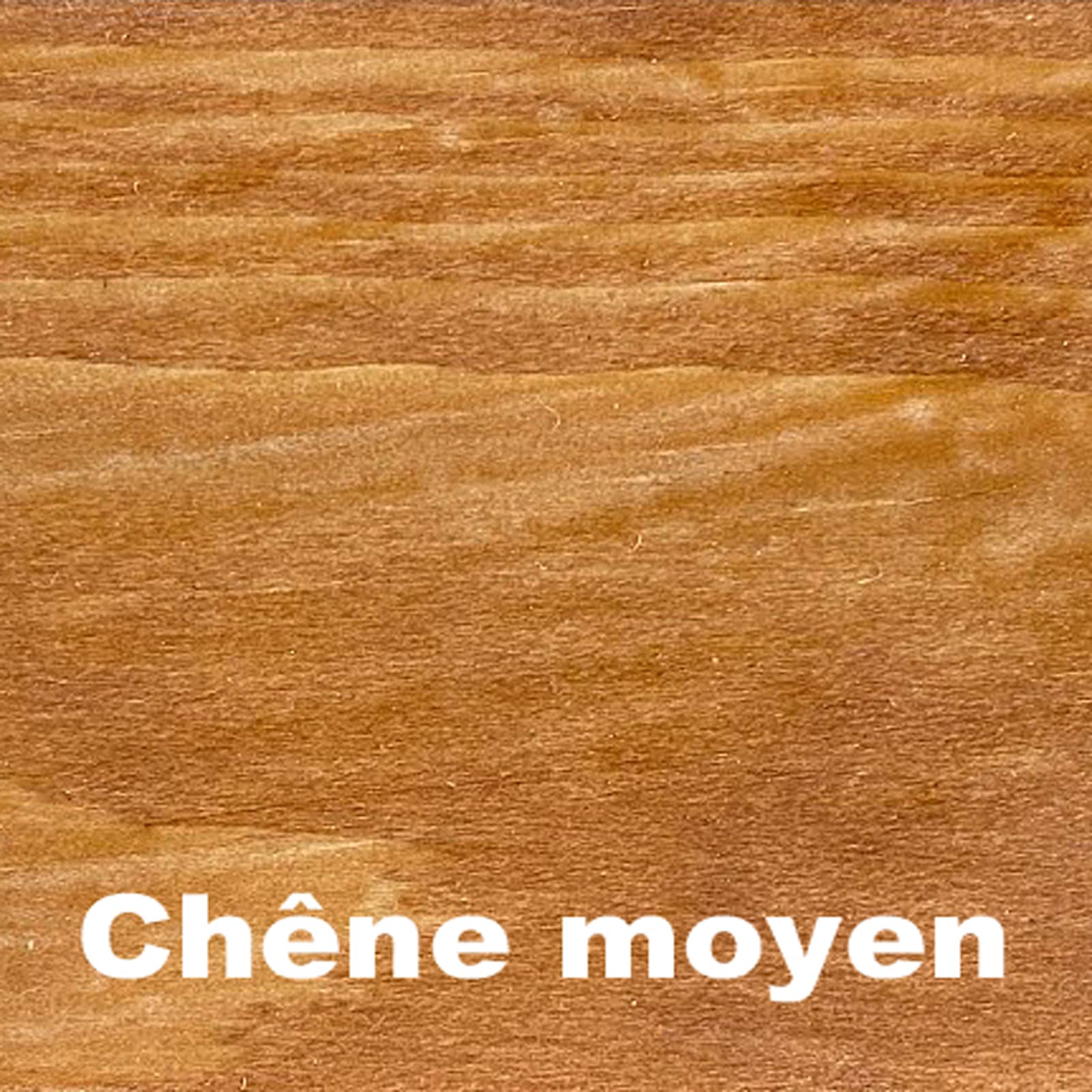 Chêne moyen